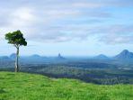 Ilustrasi-pohon-di-puncak-bukit.jpg