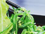 Ilustrasi-rumput-laut-atau-seaweed.jpg