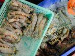 Ilustrasi-seafood-udang.jpg