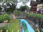 Ilustrasi-tempat-wisata-di-Kinantan-Bird-Park-Bukittinggi.jpg