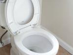 Ilustrasi-toilet-atau-kloset-duduk.jpg