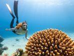 Ilustrasi-turis-wisata-snorkeling-atau-menyelam-sambil-menikmati-keindahan-bawah-laut.jpg
