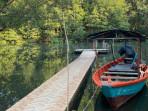 Ilustrasi-wisata-naik-perahu-di-hutan-mangrove.jpg