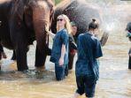 Ilustrasi-wisatawan-mengikuti-tur-gajah-atau-safari1.jpg