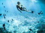 Ilustrasi-wisatawan-snorkeling-bersama-ikan-ikan.jpg