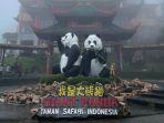 Istana-Panda-di-Taman-Safari-Bogor-di-Kecamatan-Cisarua-Bogor-Jawa-Barat.jpg