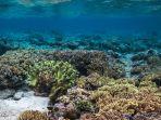 Itinerary-Bunaken-3-hari-2-malam.jpg