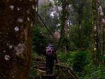 Jalur-pendakian-menuju-puncak-Gunung-Kencana-dengan-pepohonan-yang-rapat-dan-rindang.jpg