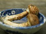Jamur-Matsutake-di-Jepang.jpg