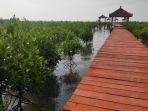 Jembatan-Merah-Hutan-Mangrove-atau-Hutan-Mangrove-Pasar-Banggi-di-Rembang-Jawa-Tengah.jpg