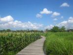 Jogging-Track-Kartalangu.jpg