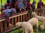 Jogja-Exotarium-Mini-Zoo.jpg
