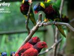 KL-Bird-Park.jpg