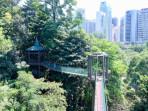 KL-Forest-Eco-Park-tempat-wisata-di-Kuala-Lumpur-Malaysia-yang-bisa-dikunjungi-gratis.jpg