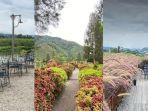 Kalatemu-Aceh-Tengah.jpg