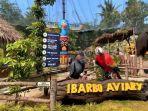 Kawasan-wisata-Ibarbo-Aviary-di-Ibarbo-Park-Sleman-Jogja.jpg