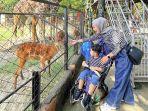 Kebun-Binatang-Surabaya-55.jpg