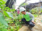Kebun-Raya-Balangan-5.jpg