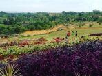 Kebun-Raya-Batam-66.jpg