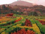 Kebun-Refugia-Magetan-di-Jawa-Timur.jpg