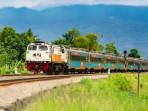 Kereta-Api-Indonesia-KAI-yang-melintas-dengan-pemandangan-sawah-dan-pegunungan.jpg