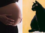 Kolase-foto-wanita-hamil-dan-kucing.jpg