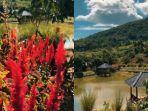 Kolase-keindahan-Zidan-Garden-tempat-wisata-hidden-gem-di-Gowa-Sulawesi-Selatan.jpg