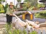 Liburan-ke-Cepogo-Cheese-Park-Boyolali-Jawa-Tengah.jpg
