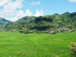 Lodok-Cancar-Manggarai.jpg