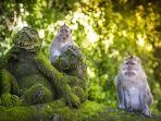 MONKEY-FOREST-UBUD-Monket-Forest-Ubud-satu-tempat-wisata-terbaik-di-Bali.jpg