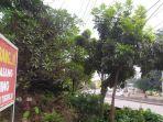 Makam-di-tikungan-Tugurejo-Semarang-Jawa-Tengah.jpg