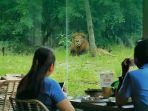 Makunde-Resto-Solo-Safari.jpg