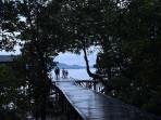 Mangrove-Kersik-Putih-Batulicin.jpg