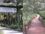 Mangrove-Pantai-Batukaras.jpg