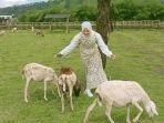 Menggala-Ranch-di-Banyumas.jpg