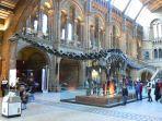 Natural-History-Museum-satu-tempat-wisata-gratis-di-London-Inggris1.jpg