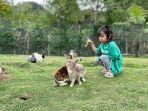 Natural-Park-berlokasi-di-Desa-Bukit-Ewih-Tami-Delem-Kebayakan-Kabupaten-Aceh-Tengah-Aceh.jpg