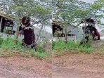 Orang-utan-setinggi-rumah-masuk-ke-pemukiman-warga-di-wilayah-Kalimantan-Timur.jpg