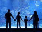 Panduan-liburan-ke-Jakarta-Aquarium-Safari-saat-Libur-Lebaran-2024q.jpg