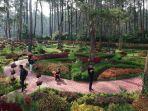 Panduan-liburan-ke-Kebon-Pines-Lembang-untuk-liburan-akhir-pekan-lengkap-dengan-harga-tiket-masuk.jpg