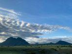 Panorama-alam-Padang-Sabana-Mausui.jpg