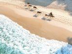 Pantai-Nihiwatu-1.jpg