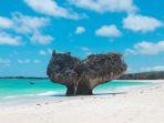Pantai-Oesosole.jpg