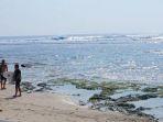 Pantai-Tanjung-Setia-Lampung.jpg