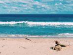 Pantai-Tebing-Lampuuk-berlokasi-di-Desa-Meunasah-Balee-Kecamatan-Lhoknga-Aceh-Besar-Aceh.jpg