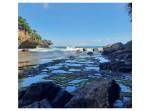 Pantai-Torohudan-Saptosari-Gunungkidul-Jogja.jpg