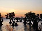 Pantai-Walakiri-sunset.jpg
