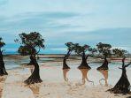 Pantai-Walakiri-tempat-wisata-di-Sumba-Timur-Nusa-Tenggara-Timur.jpg