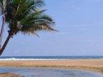 Pantai-Wonogoro.jpg