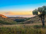 Pegunungan-Magaliesberg-satu-pegunungan-tertua-di-dunia1.jpg